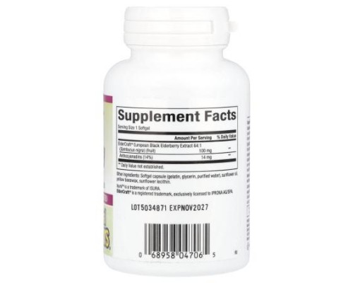Natural Factors, Black Elderberry, 100 mg, 60 Fast-Acting Softgels