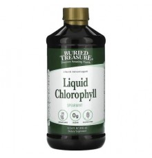 Buried Treasure, Liquid Chlorophyll, Spearmint, 16.54 fl oz (496 ml)