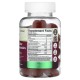 Nature's Craft, Apple Cider Vinegar Gummies, 60 Gummies