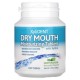 XyliDENT, Dry Mouth, Moisturizing Tablets with Xylitol, Wintergreen, 100 Tablets, 1.76 oz (50 g)
