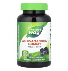 Nature's Way, Ashwagandha Gummy, Berry, 90 Gummies (62.5 mg per Gummy)