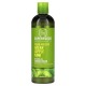 Be Care Love, Detangling Conditioner, Fresh-Pressed Green Apple Kiwi, 12 fl oz (355 ml)