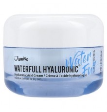 Jumiso, Waterfull Hyaluronic Acid Cream, 1.76 oz (50 g)