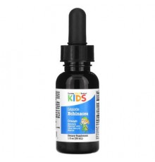California Gold Nutrition, Liquid Echinacea For Children, No Alcohol, Natural Orange, 1 fl oz (30 ml)