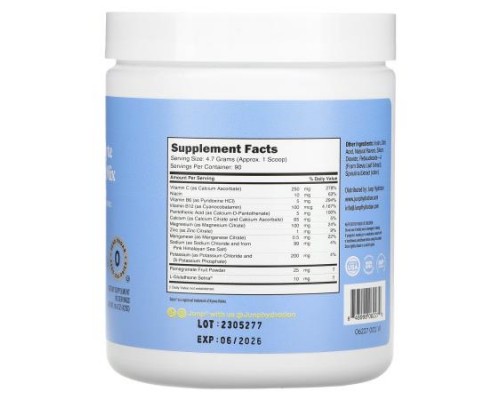 JUNP Hydration, Electrolyte Powder Mix, Berry Lemonade, 14.9 oz (423 g) JUNP Hydration, Electrolyte Powder Mix, Berry Lemonade, 14.9 oz (423 g)