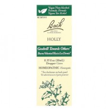 Bach, Original Flower Remedies, Holly, 0.35 fl oz (10 ml)