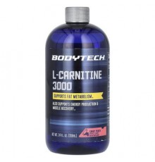 BodyTech, L-Carnitine 3000, Candy Punch, 24 fl oz (709 ml)