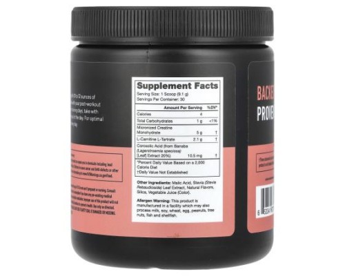 Legion Athletics, Recharge, Post-Workout Drink, Watermelon, 0.6 lbs (273 g)