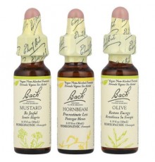 Bach, Original Flower Remedies, Mental Energy Kit, Emotional Ups & Downs, 3 Droppers, 0.35 fl oz (10 ml) Each