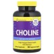 InnovixLabs, Choline, 100 Vegetarian Capsules (275 mg per Capsule)