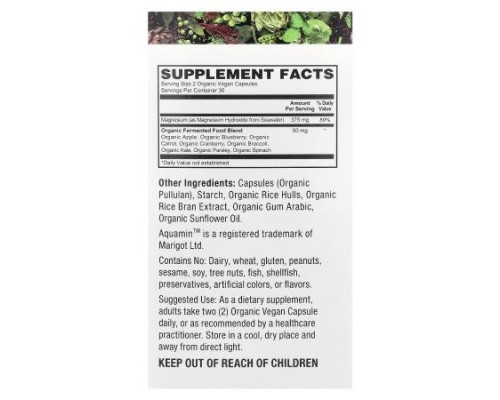 PlantFusion, Vegan SeaWater Magnesium, 60 Organic Vegan Caps
