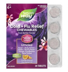 Nature's Way, Umcka®, Cold + Flu Relief Chewables, Ages 6+, Orange, 20 Tablets