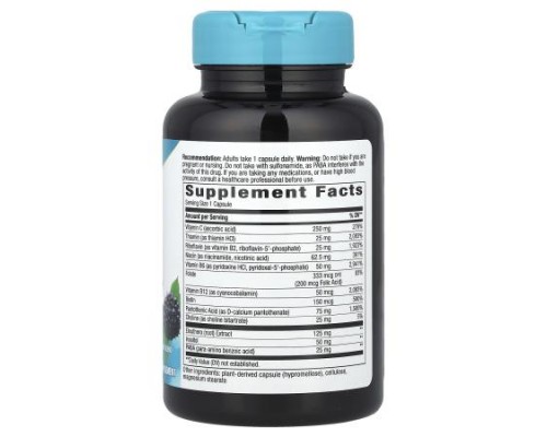 Nature's Way, B-Stress Formula, 100 Vegan Capsules