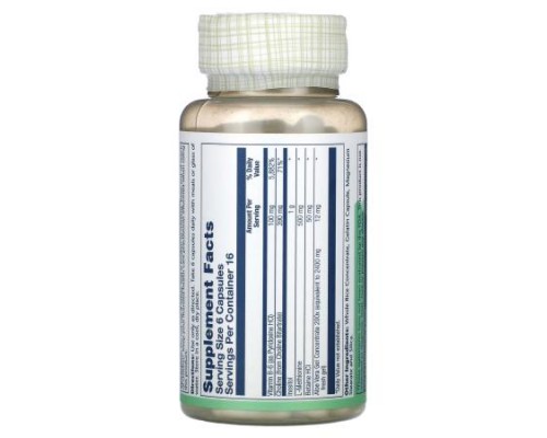 Solaray, Lipotropic 1000 Plus, 100 Capsules