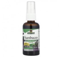 Nature's Answer, Sambucus, Black Elderberry Extract Spray, Alcohol-Free, 2 fl oz (60 ml)
