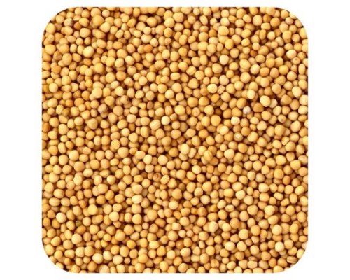 Frontier Co-op, Organic Whole Yellow Mustard Seed, 16 oz (453 g)