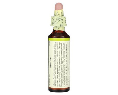 Bach, Original Flower Remedies, Chestnut Bud, 0.7 fl oz (20 ml)
