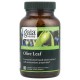 Gaia Herbs, Olive Leaf, 120 Vegan Liquid Phyto-Caps®