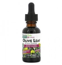 NaturesPlus, Herbal Actives, Olive Leaf, Alcohol Free, 125 mg, 1 fl oz (30 ml)