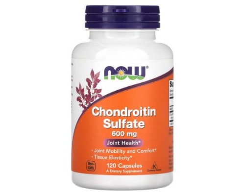 NOW Foods, Chondroitin Sulfate, 600 mg, 120 Capsules