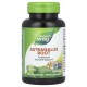 Nature's Way, Astragalus Root, 100 Vegan Capsules (470 mg per Capsule)