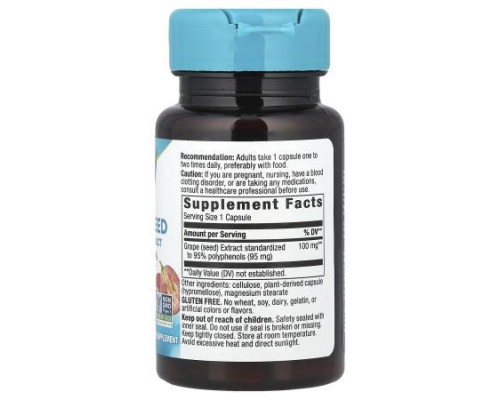 Nature's Way, Grape Seed Premium Extract, 100 mg, 30 Vegan Capsules