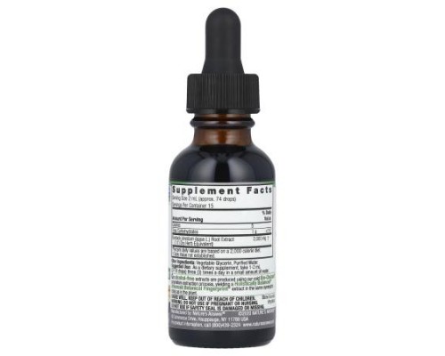 Nature's Answer, Burdock Root, Fluid Extract, Alcohol-Free, 2,000 mg, 1 fl oz (30 ml)
