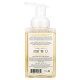 SoF, Hydrating Foaming Hand Wash with Agave Nectar, Lemon Verbena, 8 fl oz (236 ml)