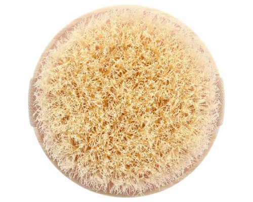 EcoTools, Dry Body Brush, 1 Brush