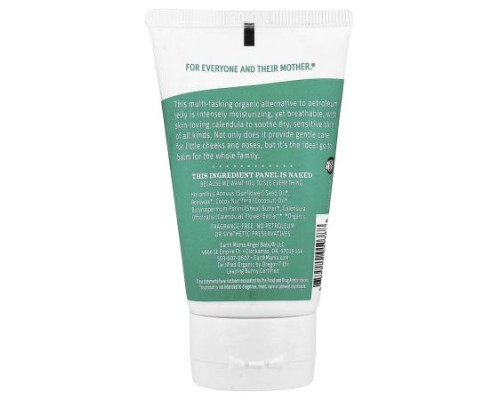 Earth Mama, Organic Baby Face, Nose & Cheek Balm, 2 fl oz (60 ml) Earth Mama, Organic Baby Face, Nose & Cheek Balm, 2 fl oz (60 ml)