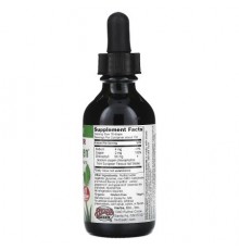 Herbs Etc., ChlorOxygen®, Chlorophyll Concentrate, Alcohol Free, Mint, 2 fl oz (59 ml)