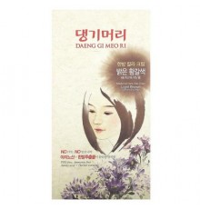DAENG GI MEO RI, Medicinal Herb Hair Color, Light Brown, 5 Piece Kit