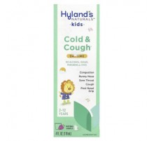 Hyland's Naturals, Kids, Cold & Cough, Daytime, Ages 2-12, Natural Grape, 4 fl oz (118 ml)